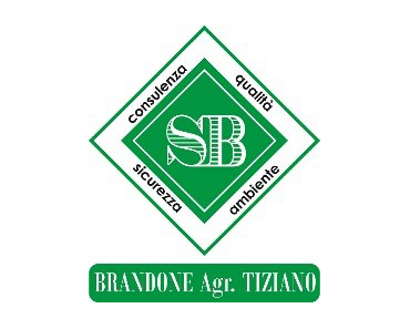 STUDIO BRANDONE