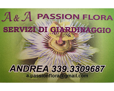 A & A PASSION FLORA